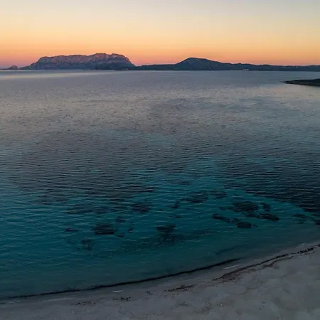 Olivastro By Klodge Chalet Olbia