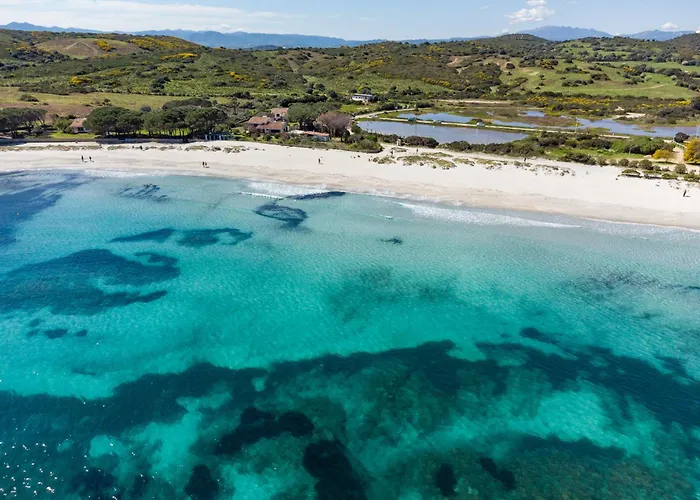 Olivastro By Klodge * Ольбия