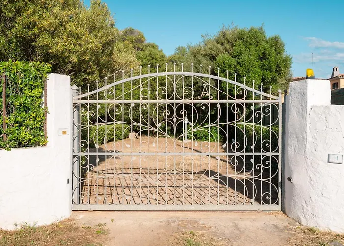 Olivastro By Klodge *