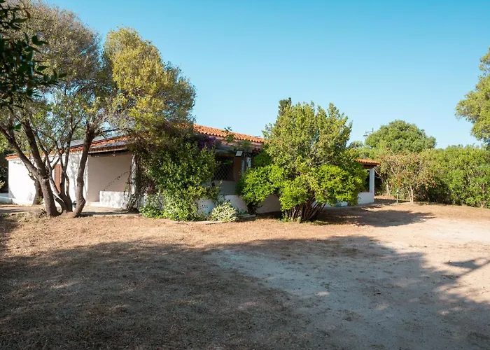 Шале Olivastro By Klodge