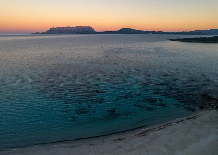 Olivastro By Klodge Шале Ольбия